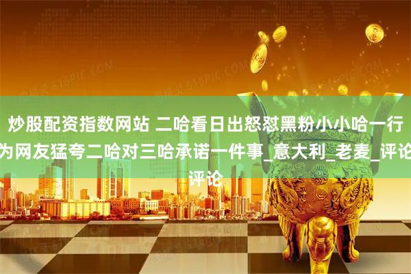 炒股配资指数网站 二哈看日出怒怼黑粉小小哈一行为网友猛夸二哈对三哈承诺一件事_意大利_老麦_评论
