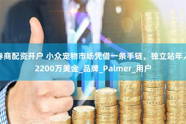 券商配资开户 小众宠物市场凭借一条手链，独立站年入2200万美金_品牌_Palmer_用户
